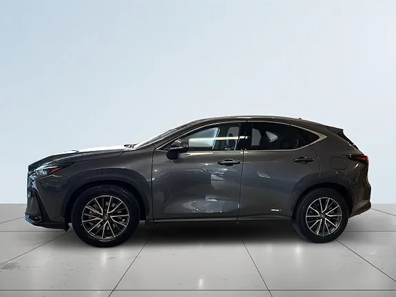 Lexus Nx450H+ 2024 photo 4