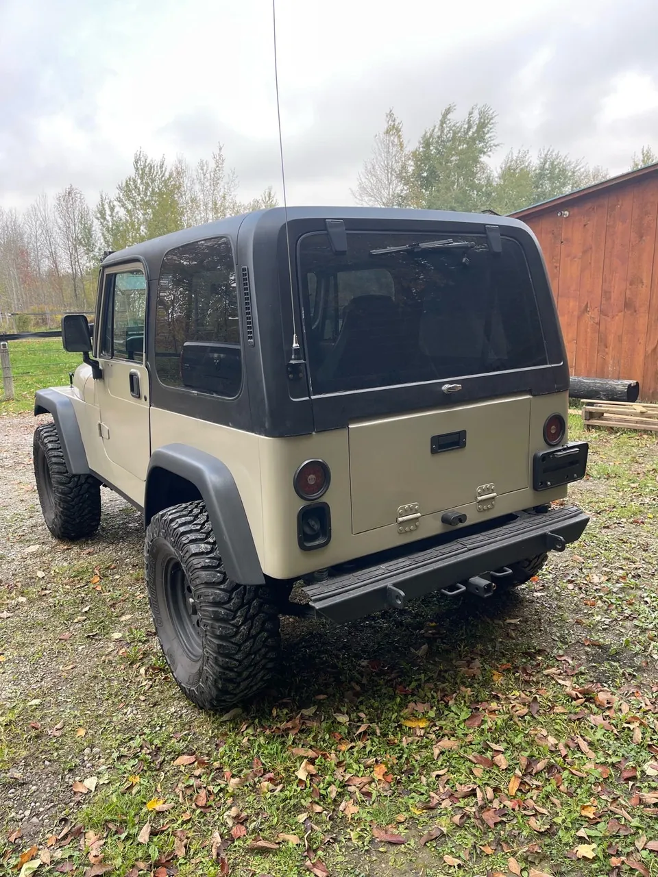 Jeep Yj 1994 photo 2