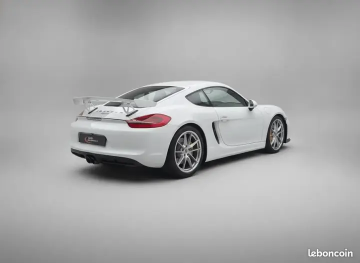 Porsche Cayman 2014 photo 5