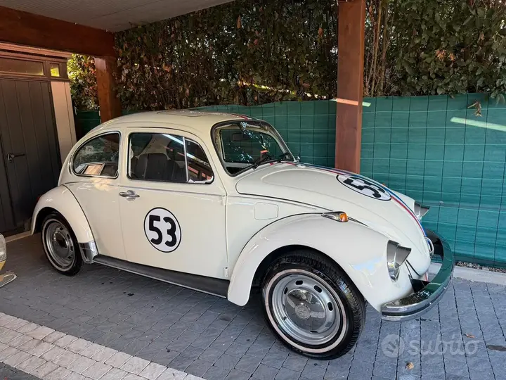 Volkswagen Magnum