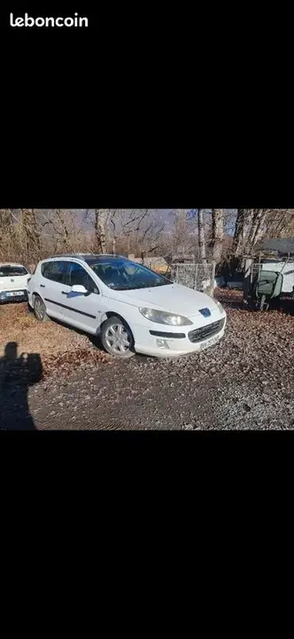 Peugeot 407