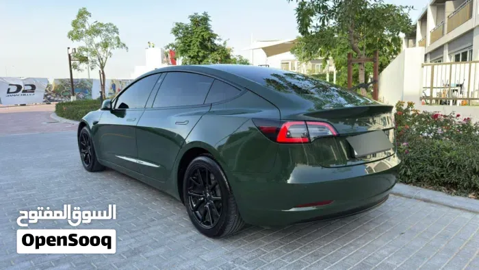 Tesla Model 3 2020 photo 3