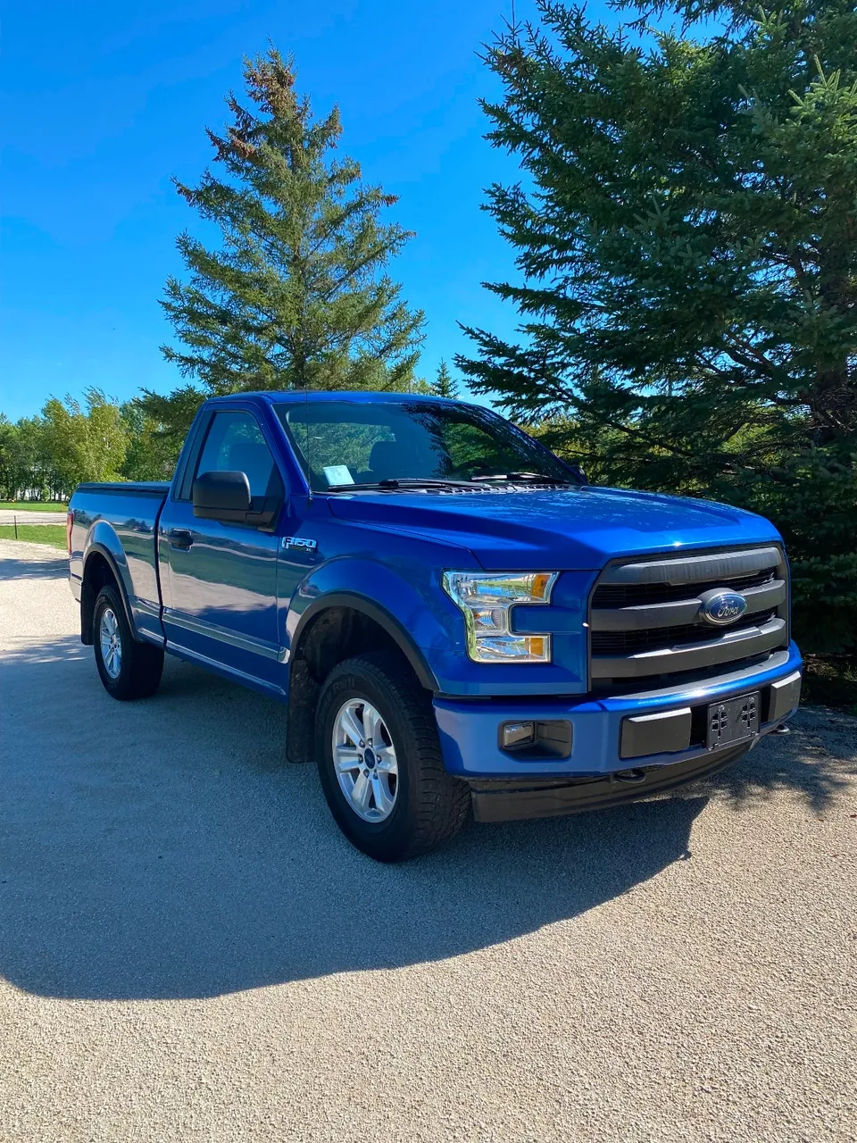 Ford F-150 2017 photo 5