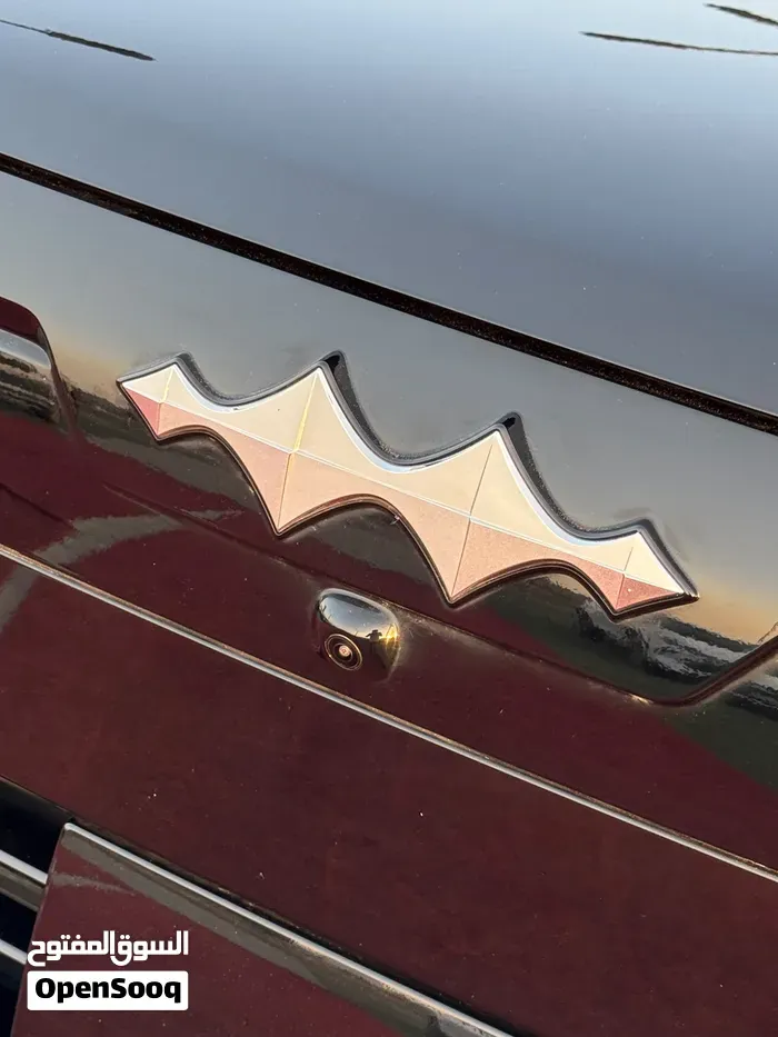 BYD Leopard 7