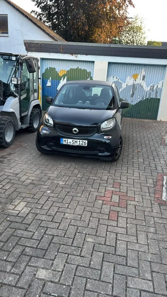 Smart 1.0