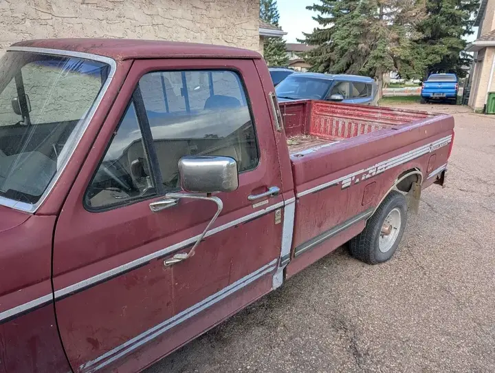 Ford F-150 1991 photo 3