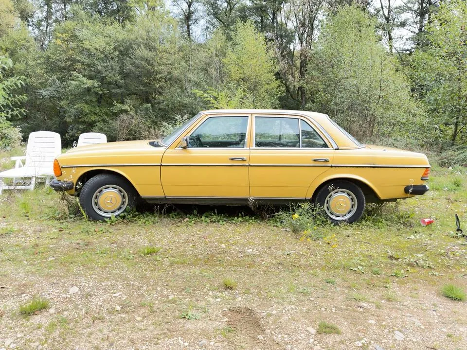 Mercedes-Benz W123