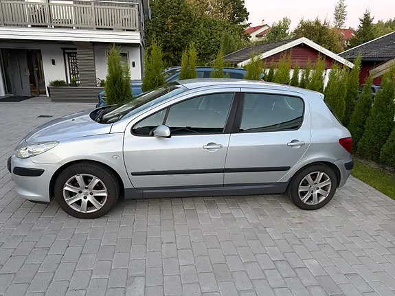 Peugeot 307 2006 photo 3
