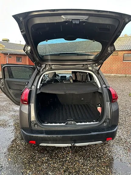 Peugeot 2008 2019 photo 2
