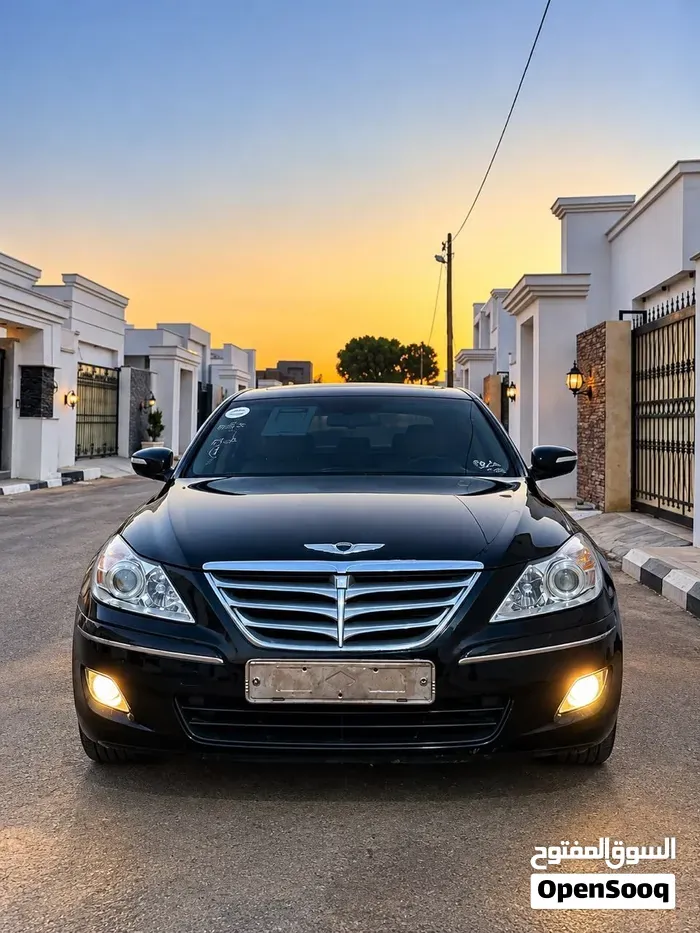 Genesis Sonata 2010 photo 5