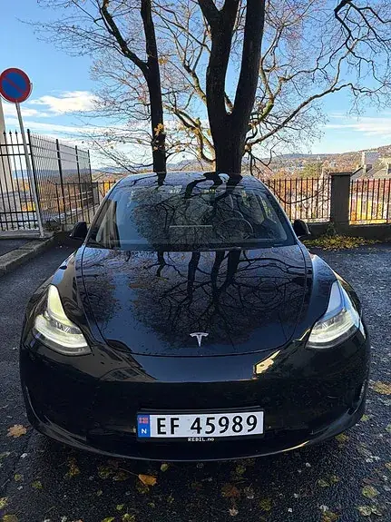 Tesla Model 3 2023 photo 2