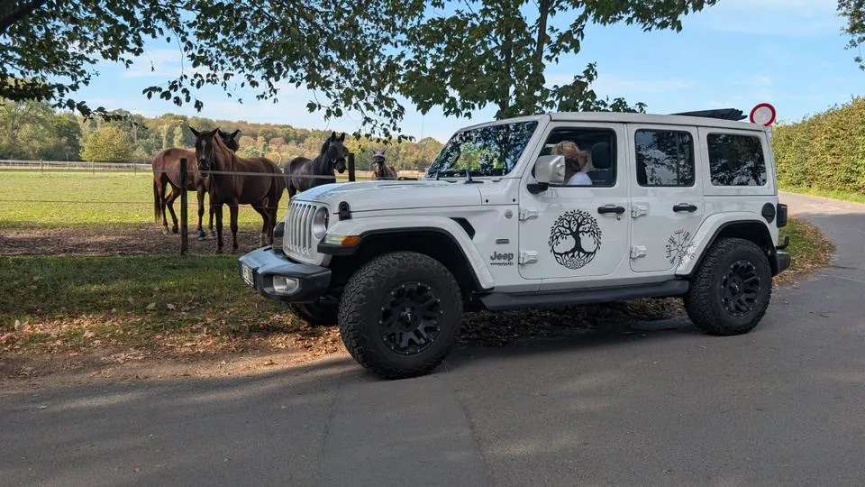Jeep Wrangler Sahara