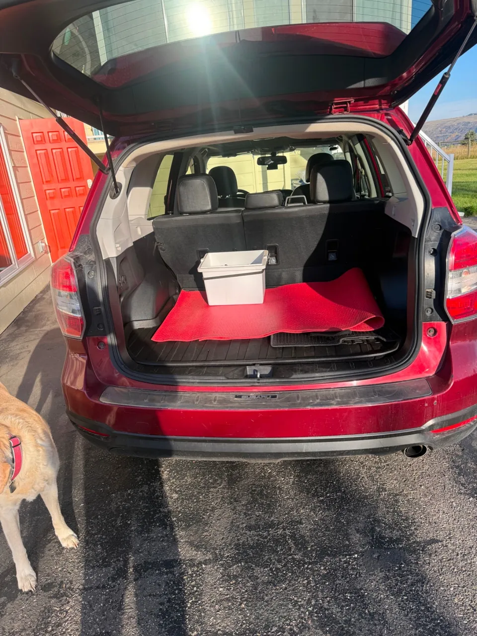 Subaru Forester 2015 photo 5