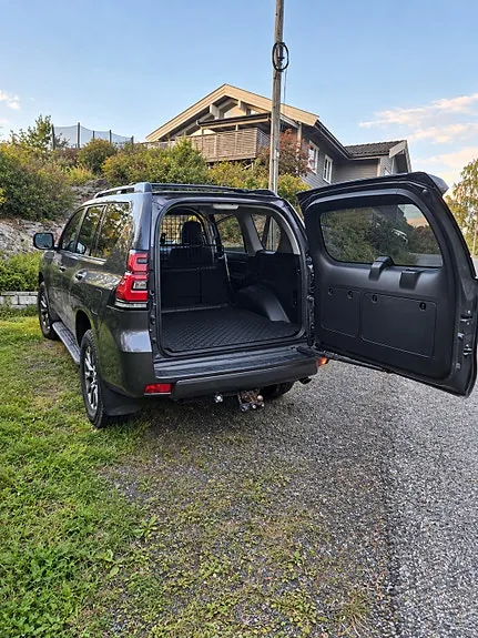 Toyota Land Cruiser 2020 photo 2