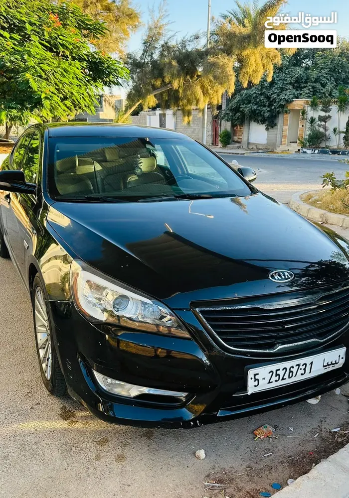 Kia Cadenza 2010 photo 2
