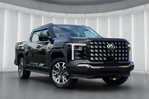 LDV Terron 9