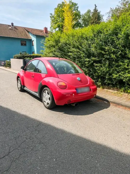 Volkswagen Beetle