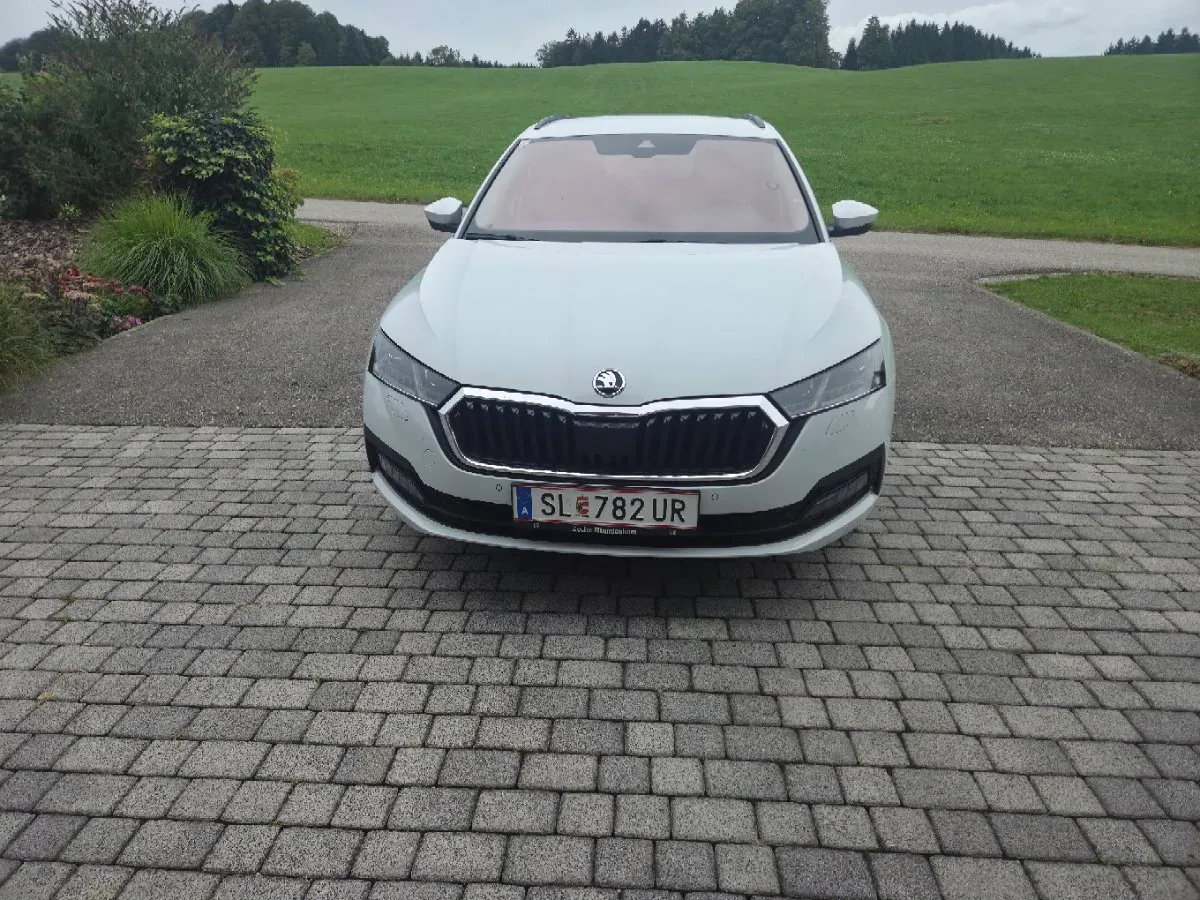 Skoda Octavia 2021 photo 3