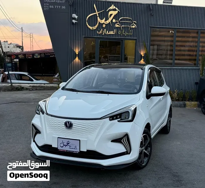 Changan E-Star 2023 photo 3