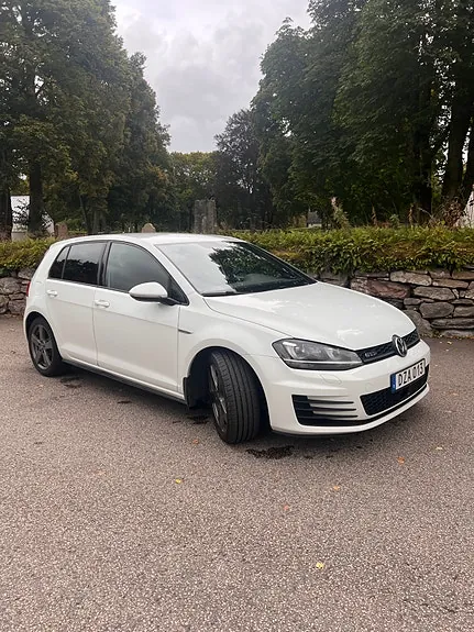 Volkswagen Golf Vii 2015 photo 3