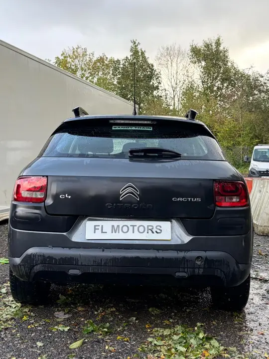 Citroen C4 Cactus 2015 photo 2