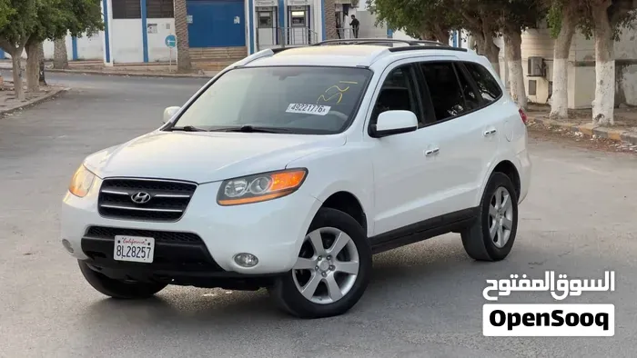 Hyundai Santa Fe 2009 photo 3