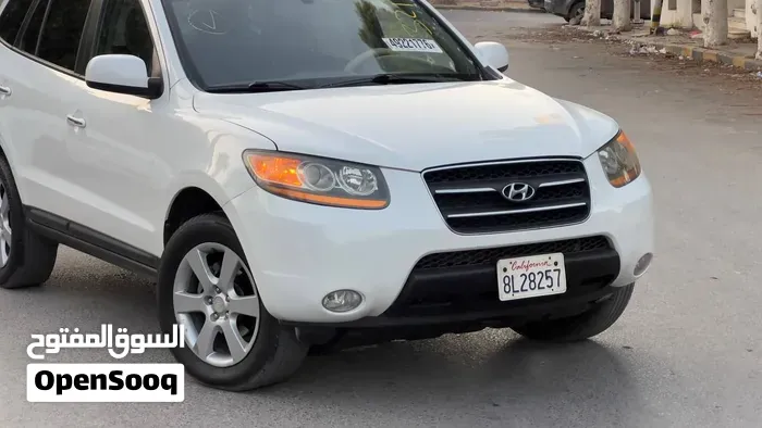 Hyundai Santa Fe 2009 photo 2