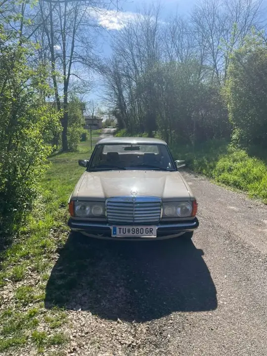 Mercedes-Benz E-Class 1980 photo 2