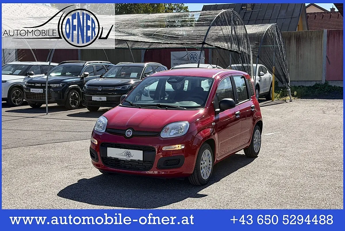Fiat Pandina