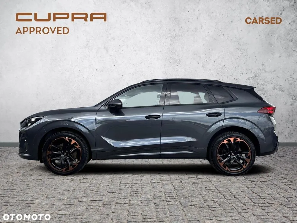 Cupra Terramar 2025 photo 3