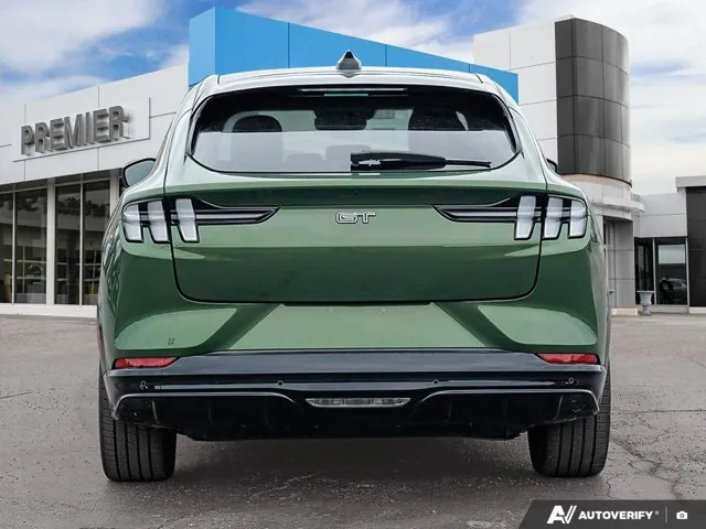 Ford Mustang Mach-E 2025 photo 5