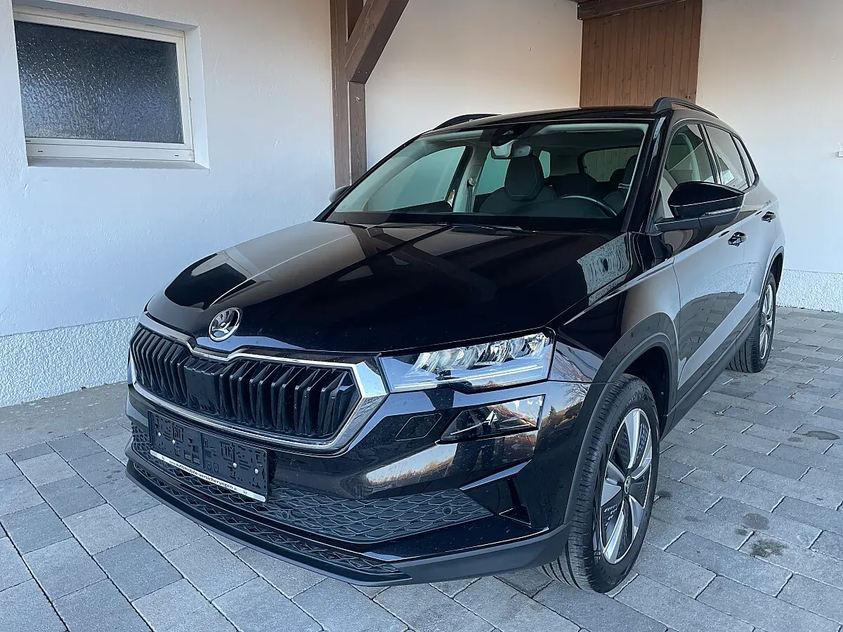 Skoda Karoq 2022 photo 2