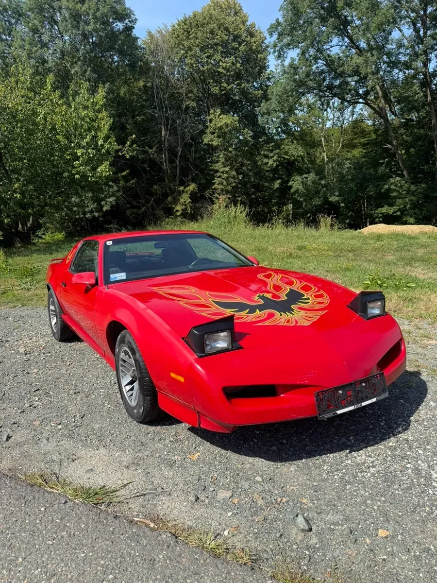 Pontiac Firebird 1992 photo 3