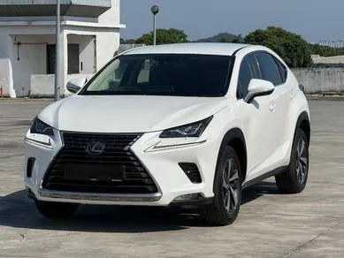 Lexus Nx 300