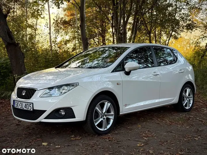 Seat Ibiza 2012 photo 2