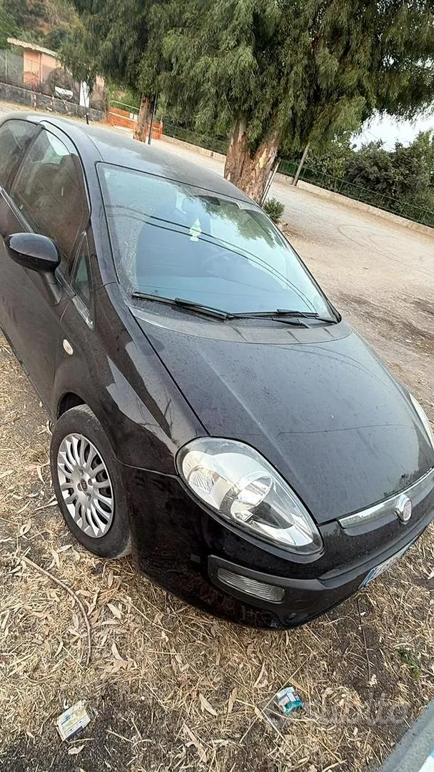 Fiat Punto 2010 photo 2