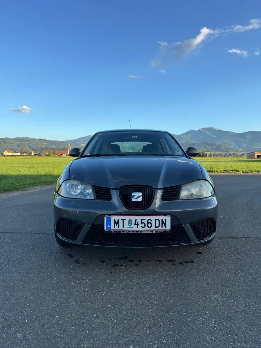 Seat Ibiza 2007 photo 3