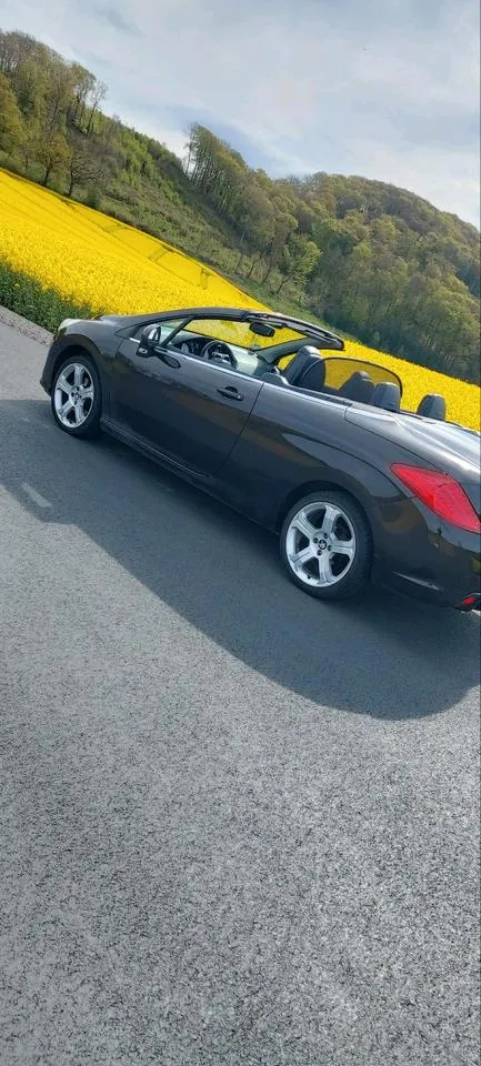 Volkswagen Cabrio
