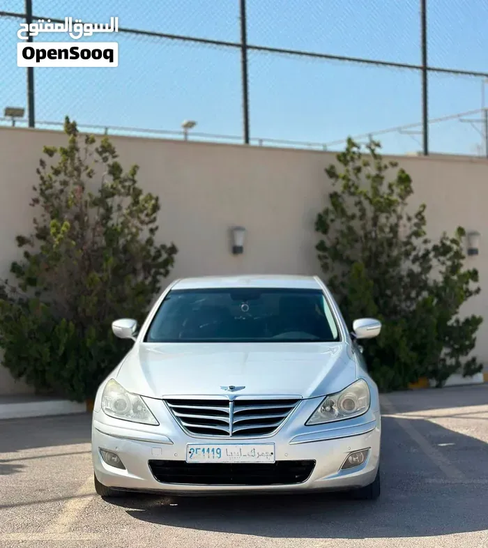 Genesis Sonata 2009 photo 2
