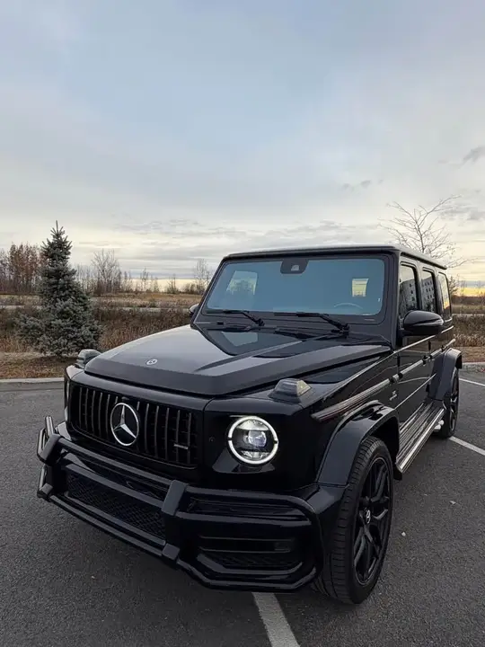 Mercedes-Benz G-Class 2021 photo 2