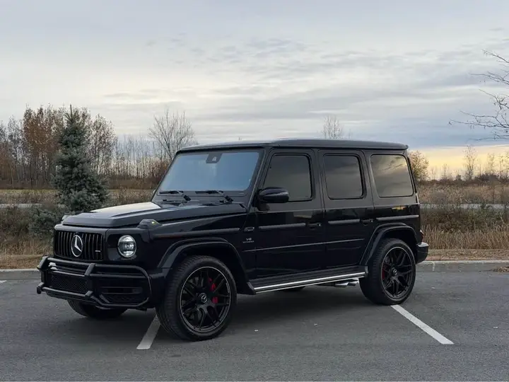 Mercedes-Benz G-Class 2021 photo 3