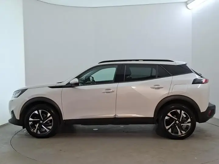 Peugeot 2008 2021 photo 4
