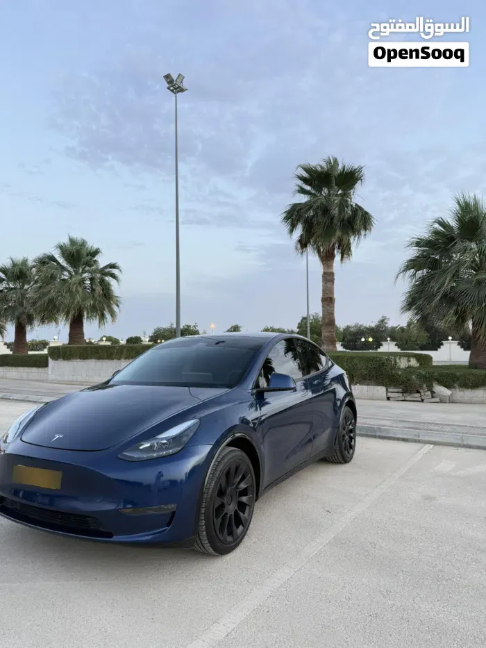 Tesla Model Y 2024 photo 5