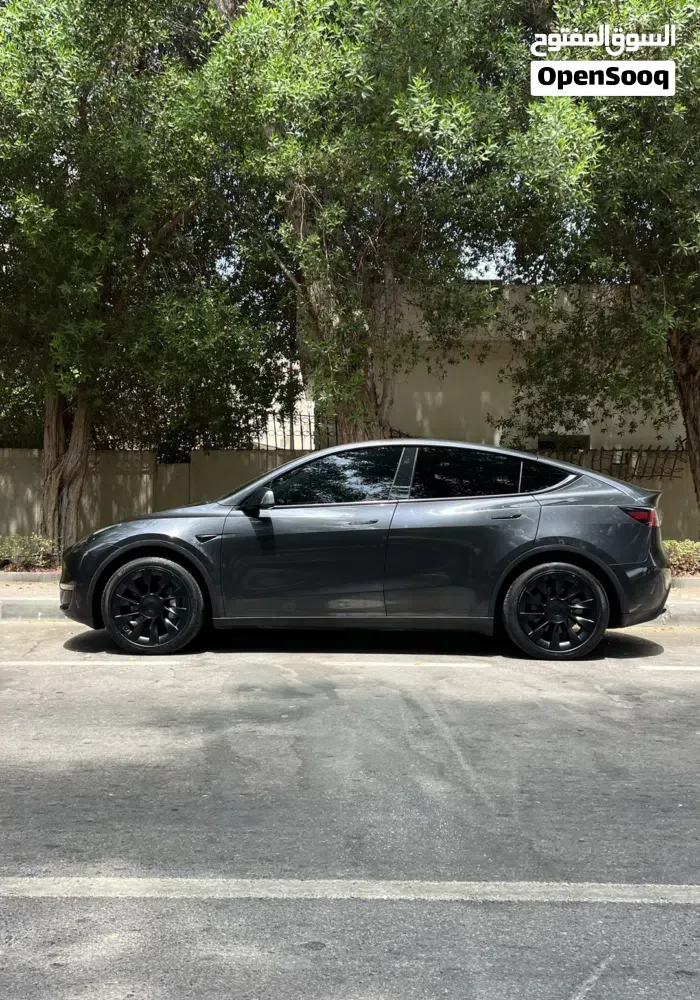 Tesla Model Y 2024 photo 4