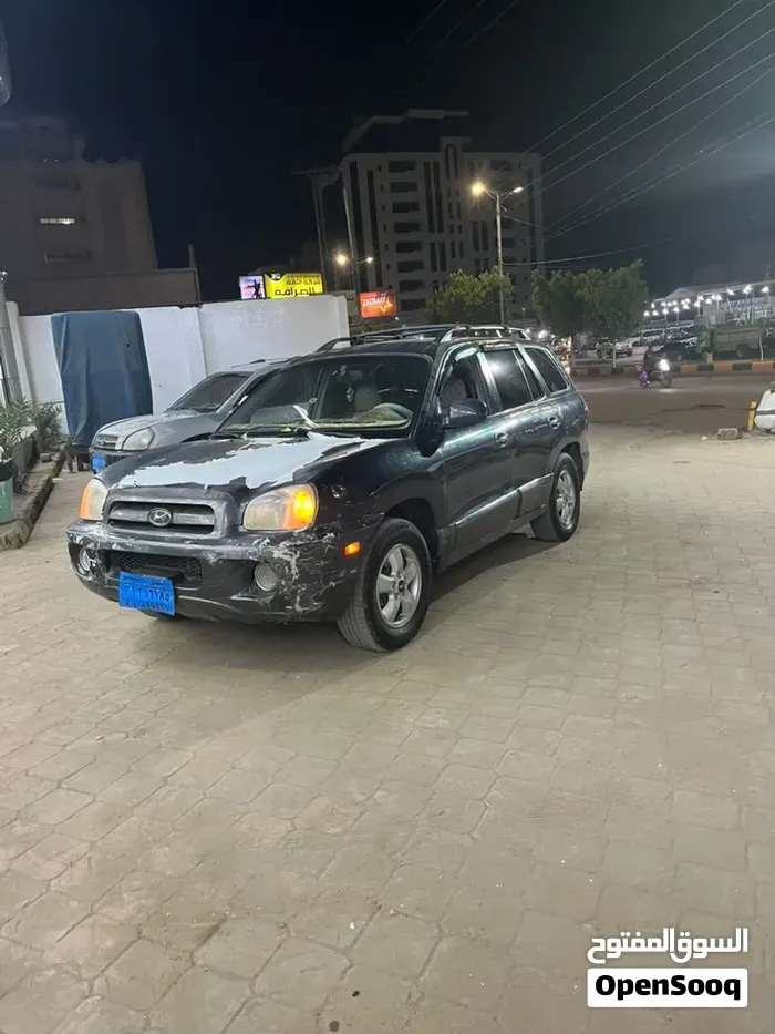 Hyundai Santa Fe 2005 photo 2
