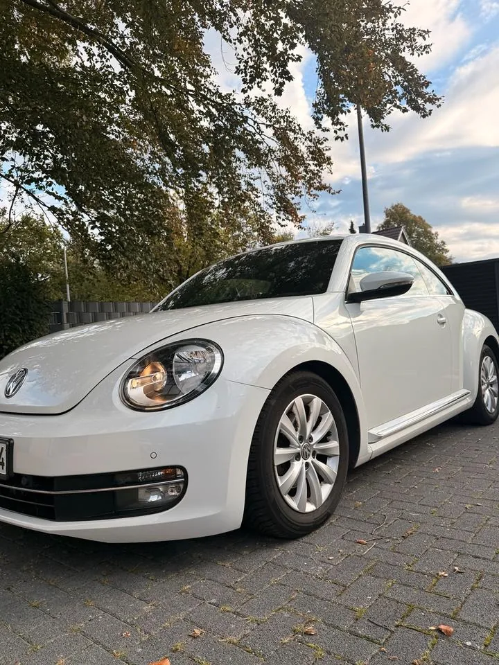 Volkswagen Beetle