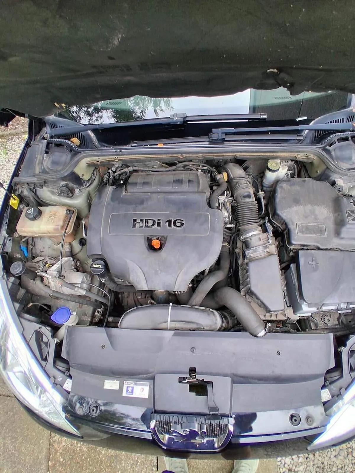 Peugeot 407 2010 photo 4