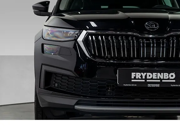Skoda Kodiaq 2024 photo 3