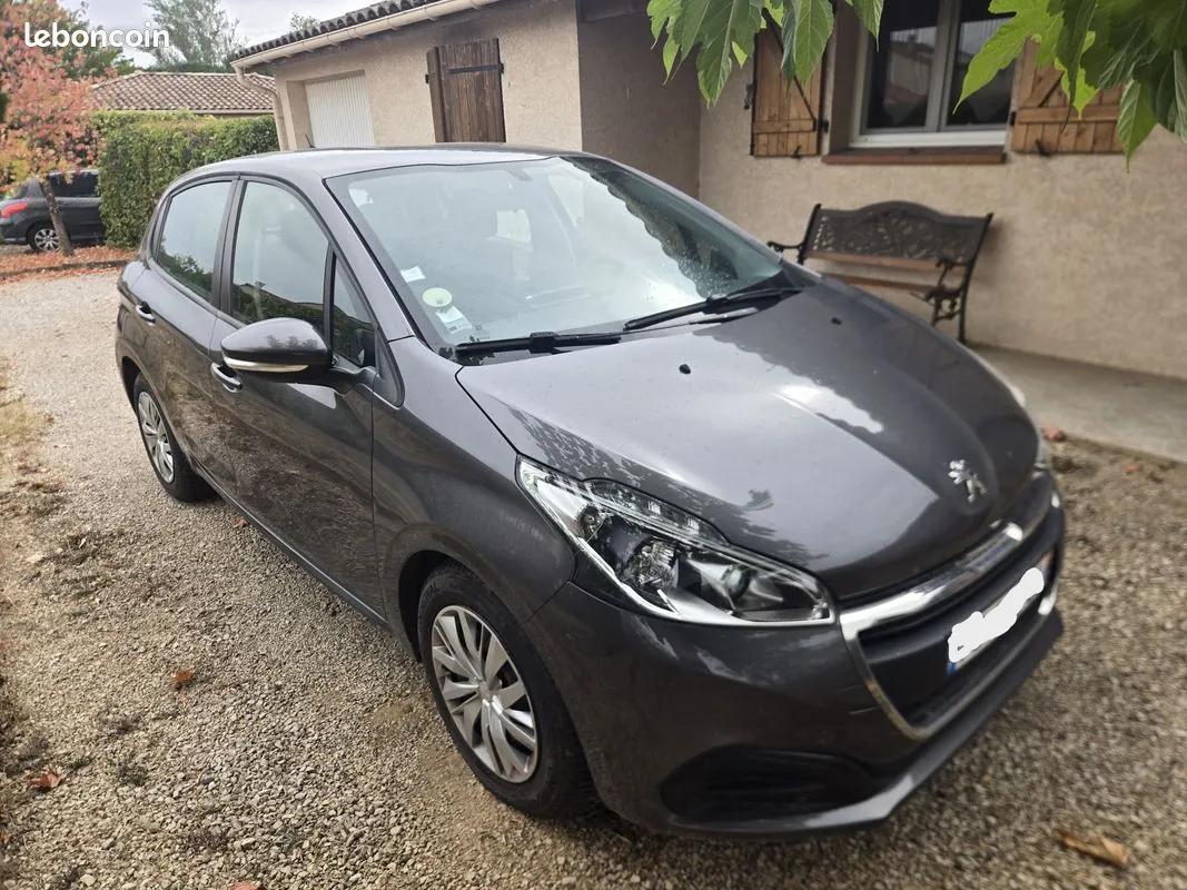 Peugeot 208 2019 photo 2