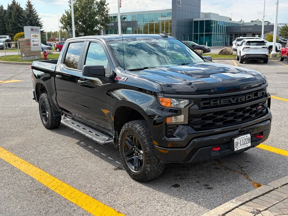 Chevrolet Silverado 1500 2022 photo 2